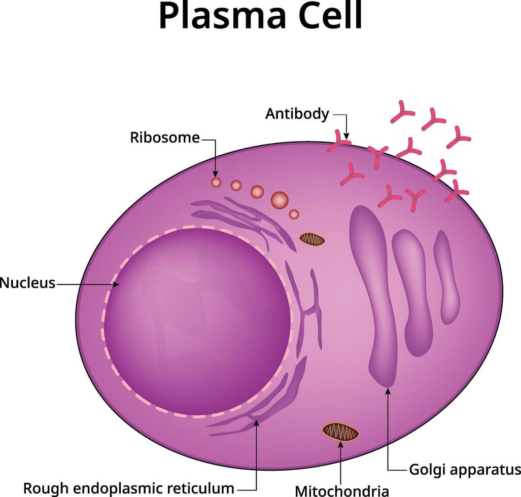 Plasma Cell Science Design Illustration vector