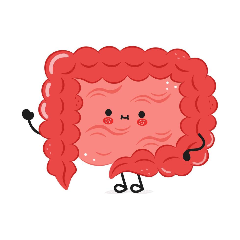 Cute cartoon Intestine character with a happy face on white background vector