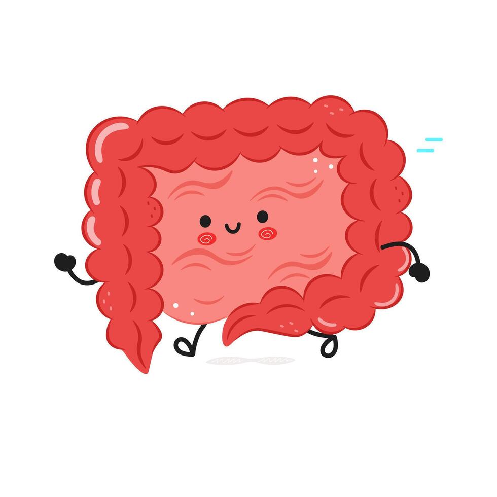 Cute smiling Intestine illustration on white background vector