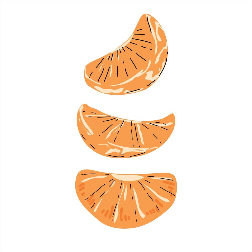 Illustration of Orange Slices on White Background vector