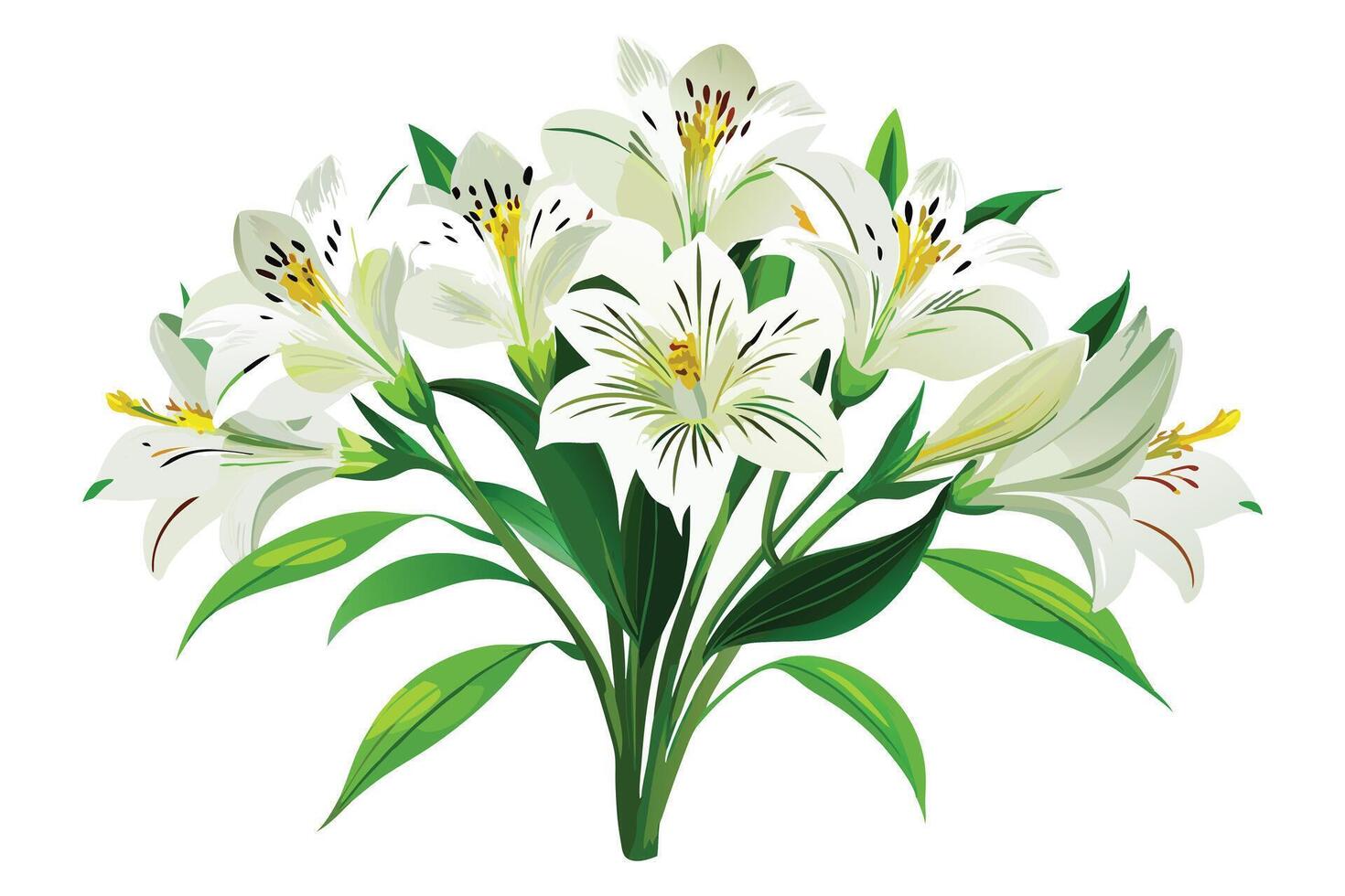 Elegant Bouquet of White Lilies vector