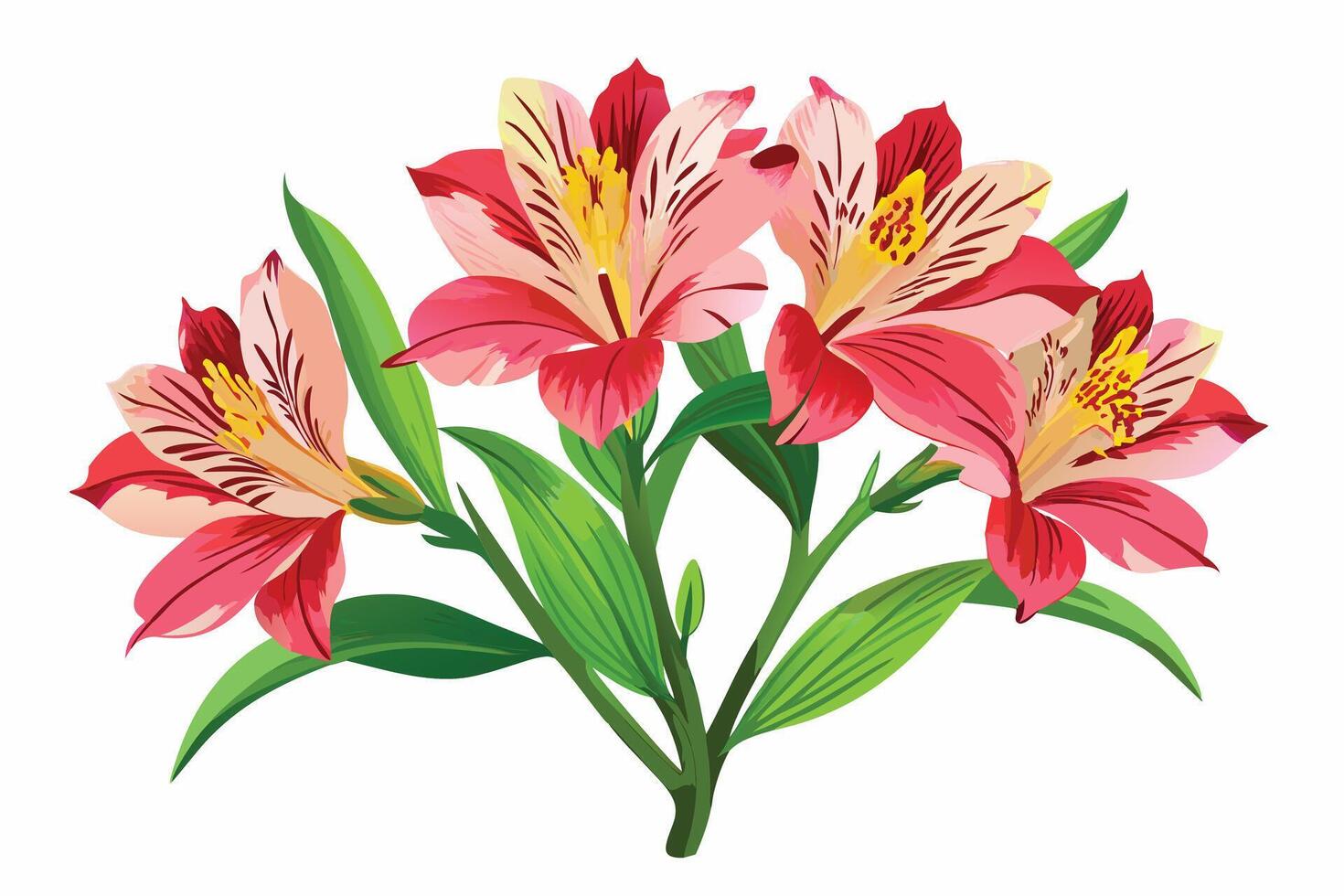Elegant Bouquet of red Lilies vector