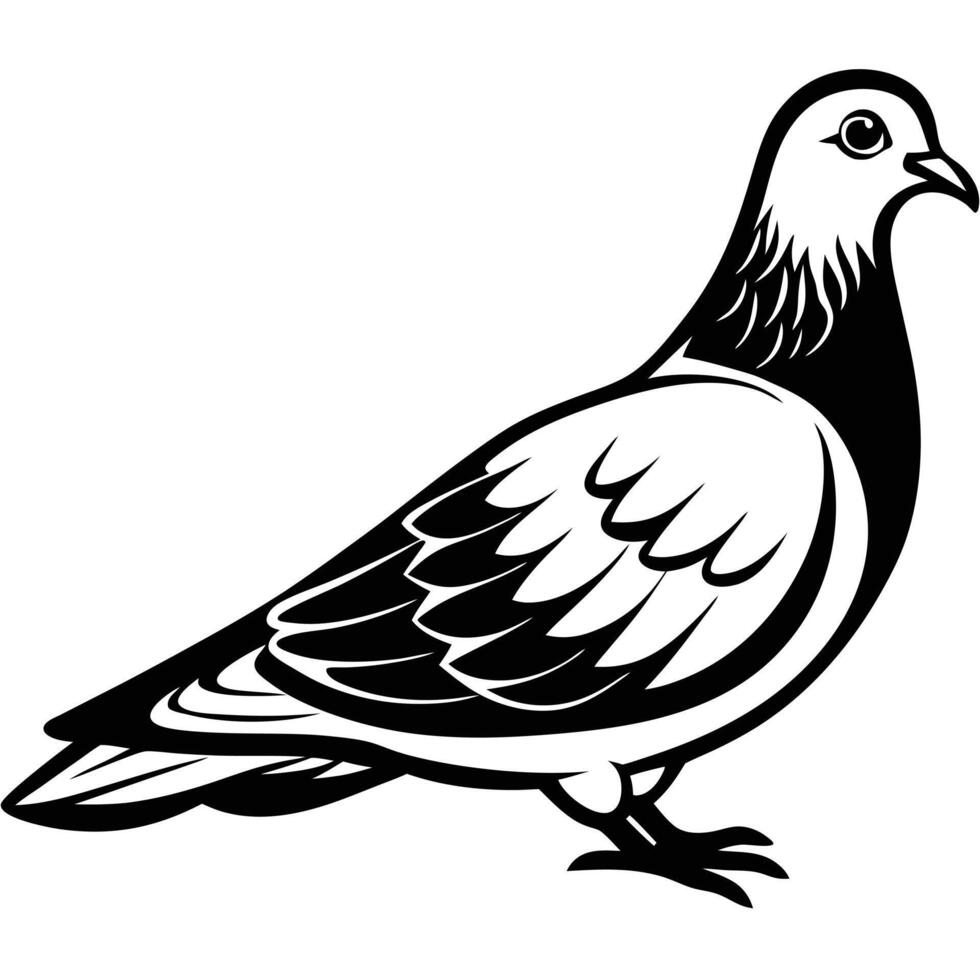 Stunning Dove Silhouette Art Concepts vector