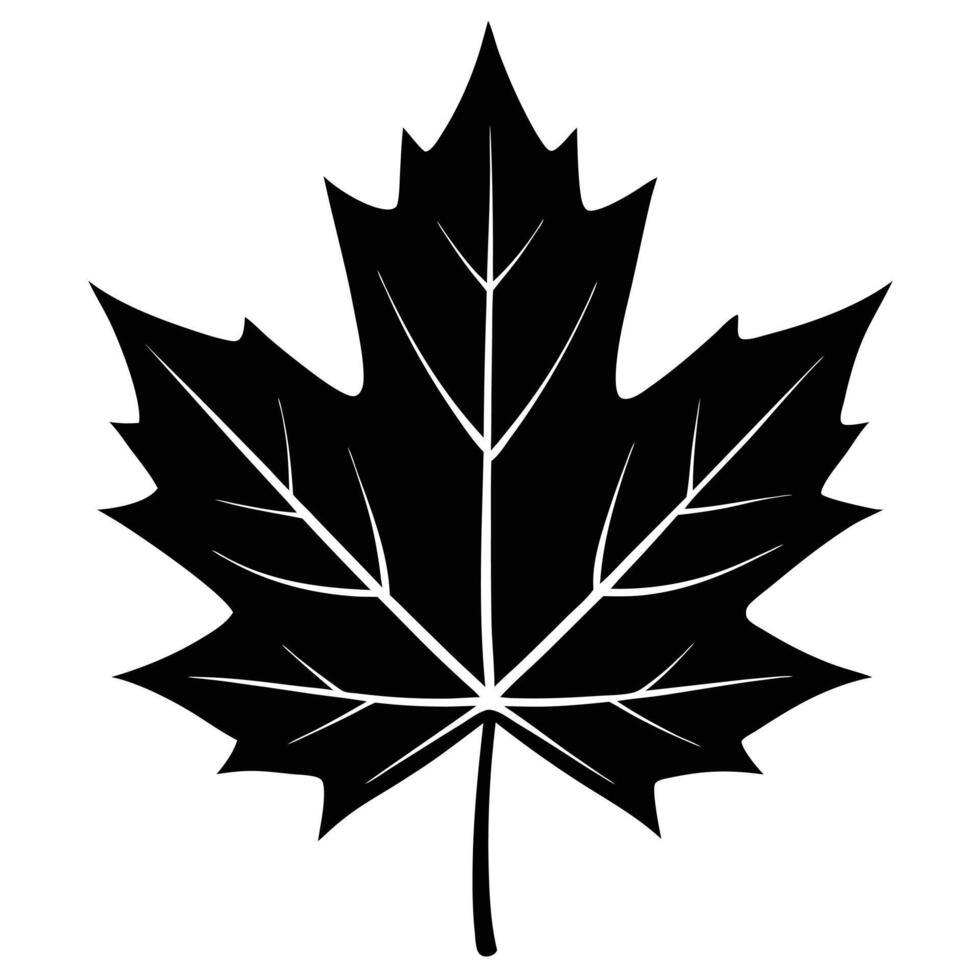 Exploring Beautiful Maple Leaf Silhouette Styles vector