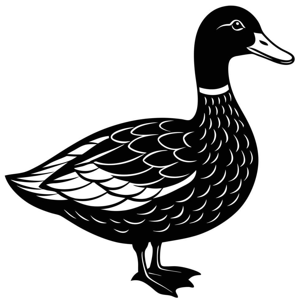 Duck Silhouette Inspiration for Creatives vector