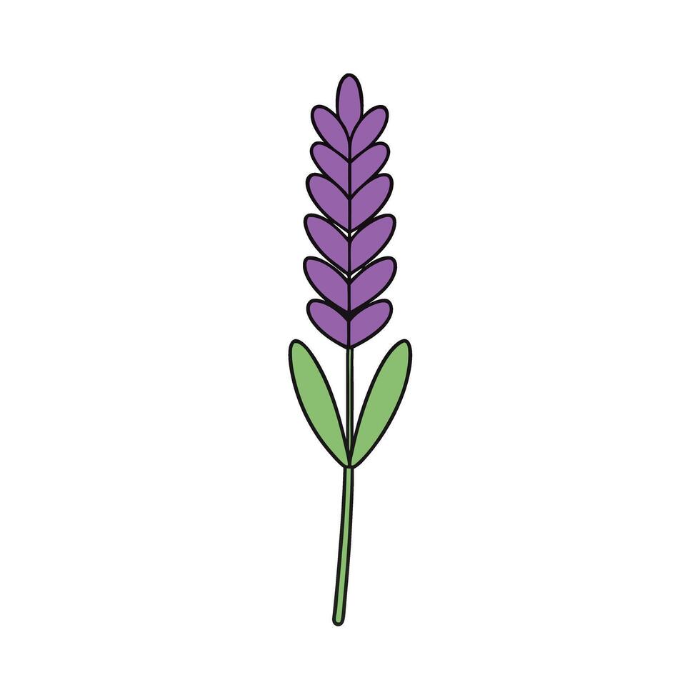 Creative Lavender Flower Designs for Projects vector