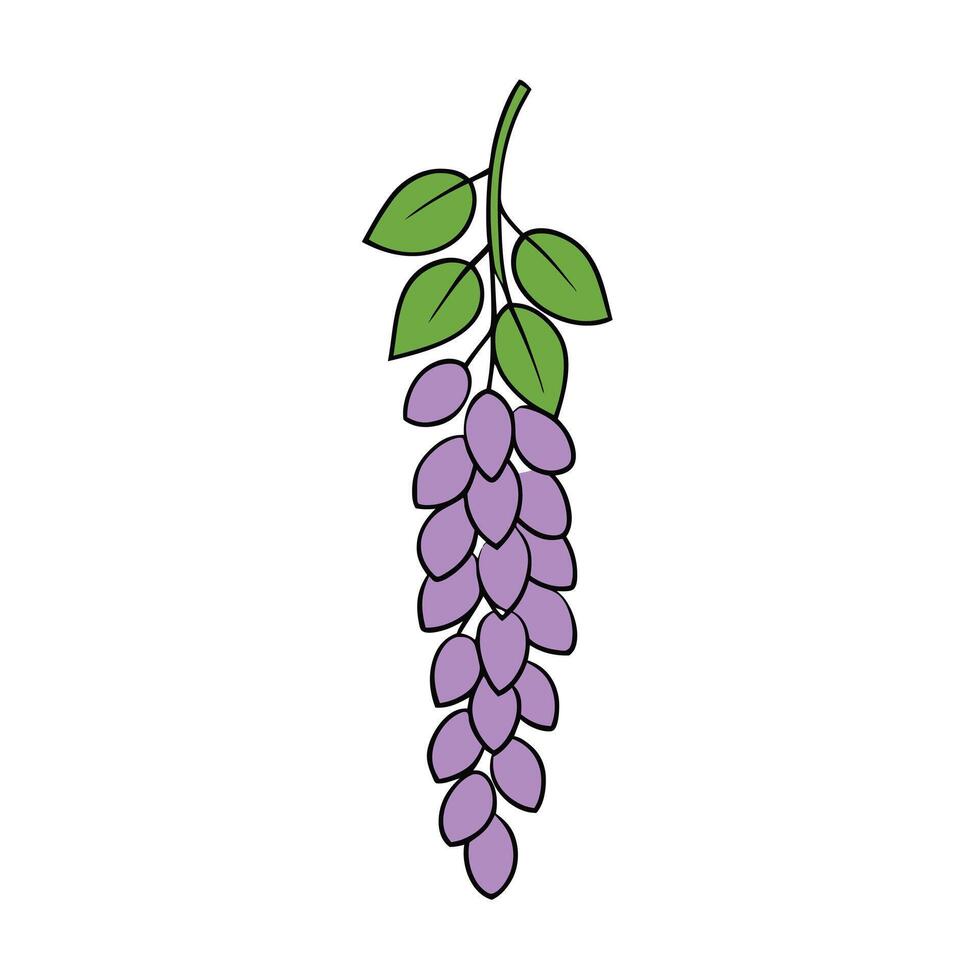 Modern Wisteria Designs for Creatives vector