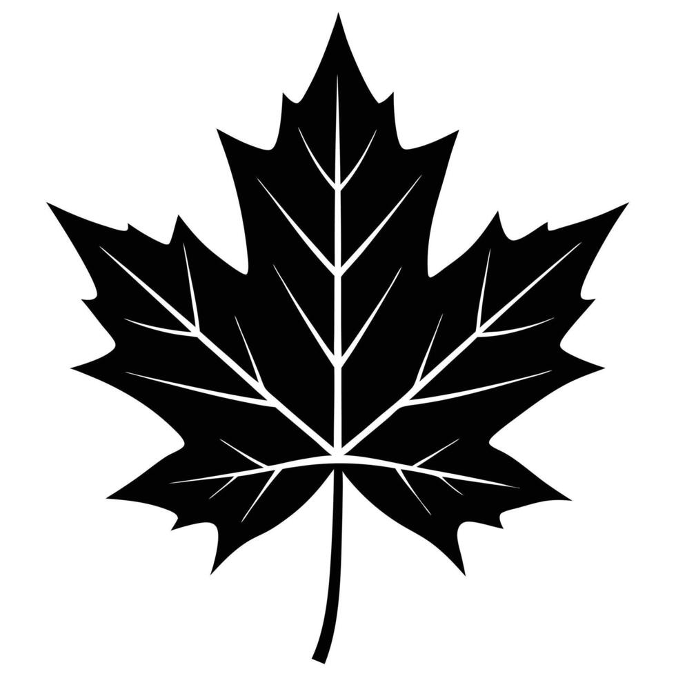 Stunning Maple Leaf Silhouette Art vector
