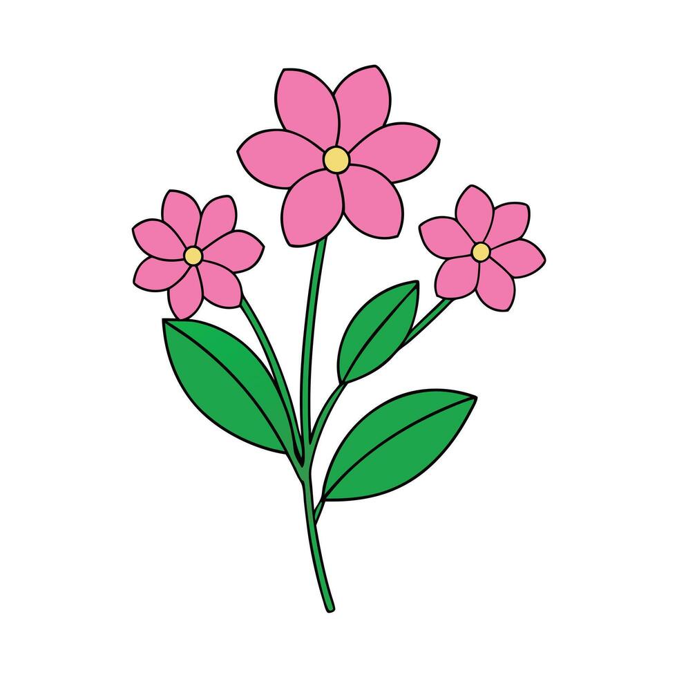 Stunning Pink Color Flower Creations vector