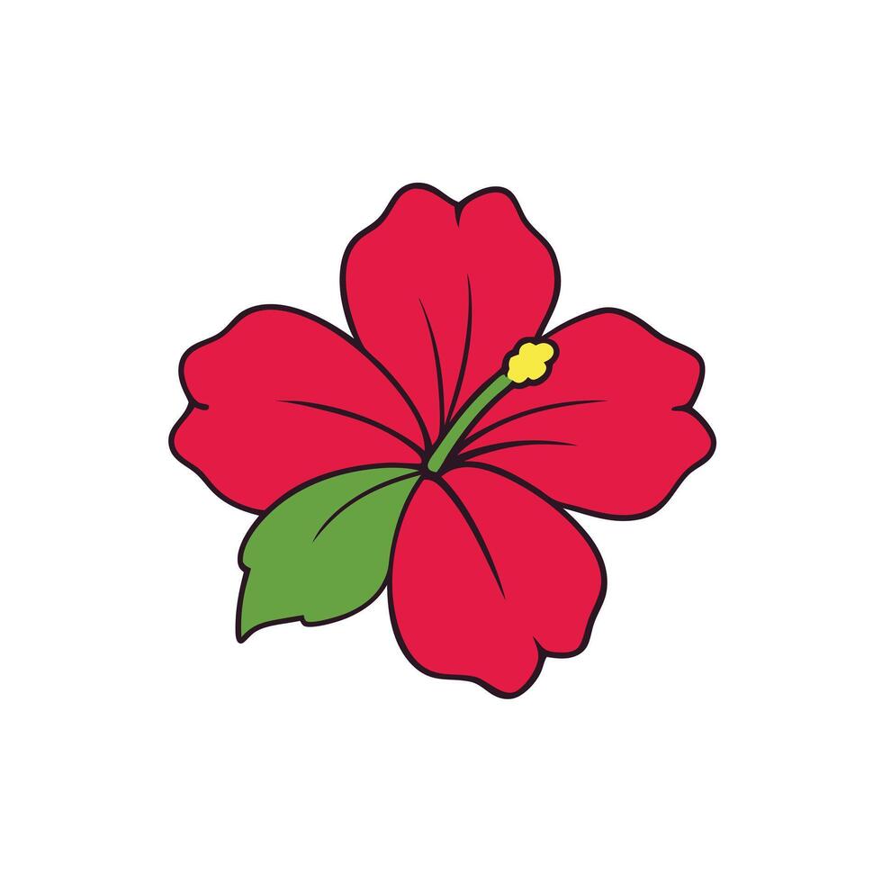 Stunning Hibiscus Flower Designs for Art vector