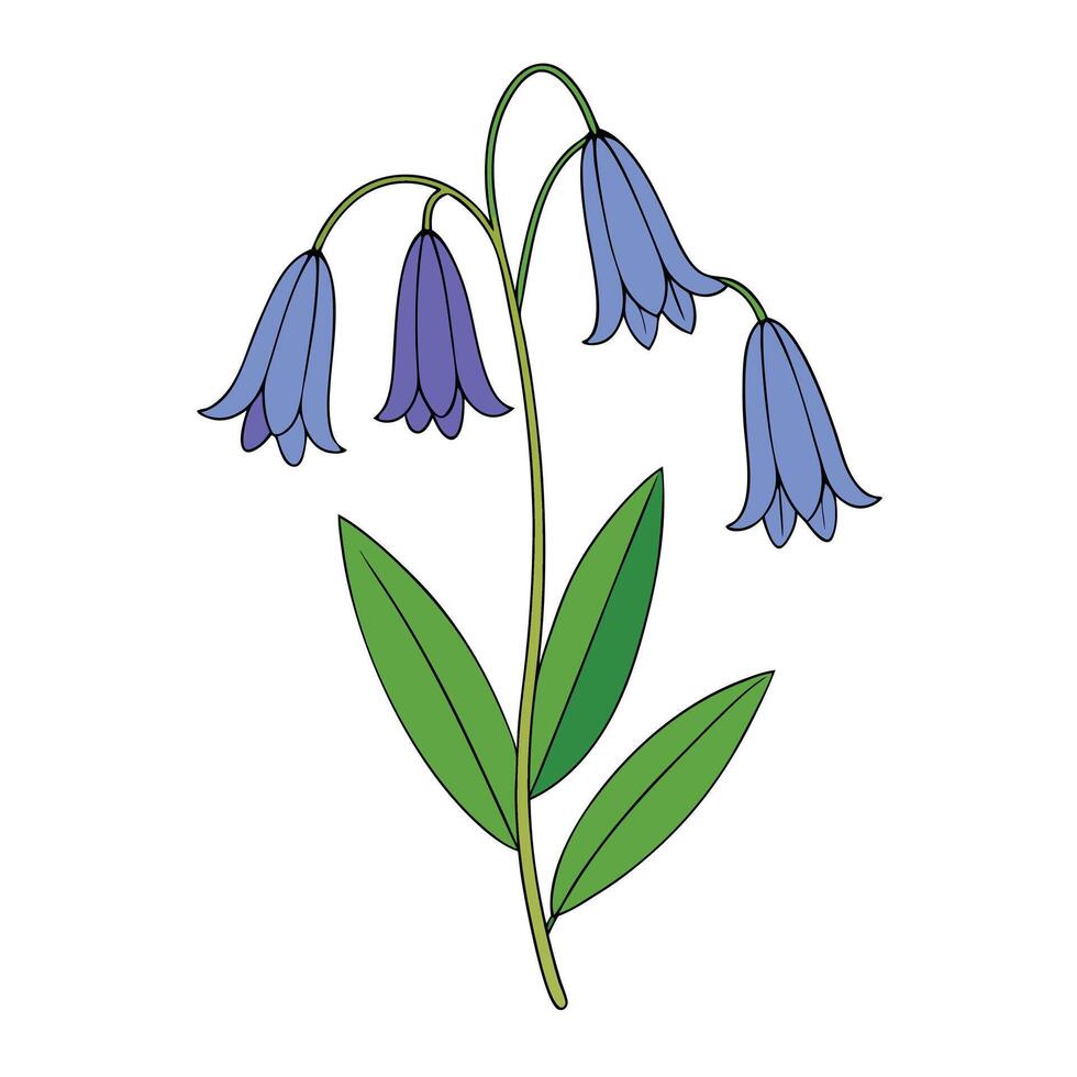 Beautiful Bluebell Flower Art Inspiration vector