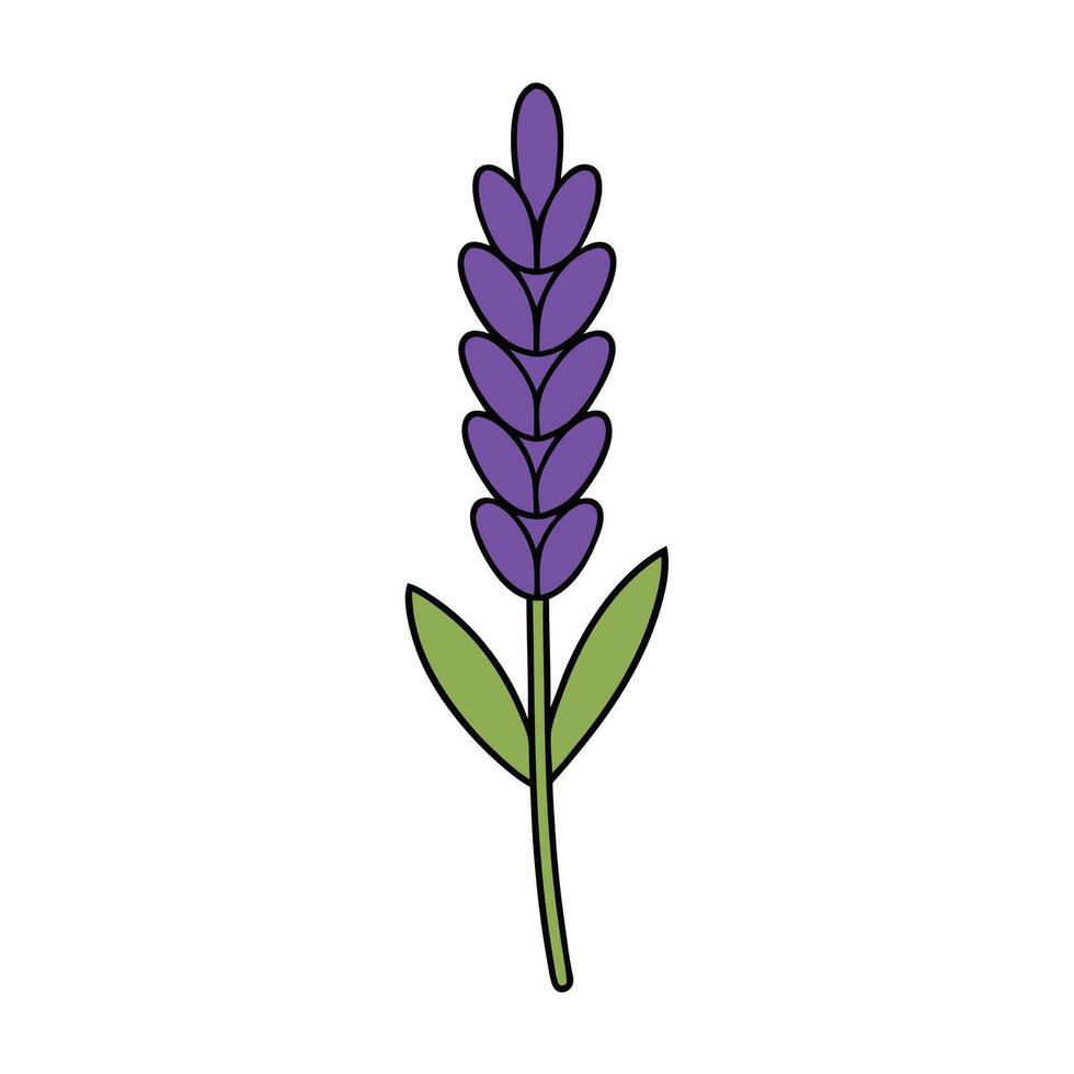 Beautiful Lavender Flower Art Ideas vector