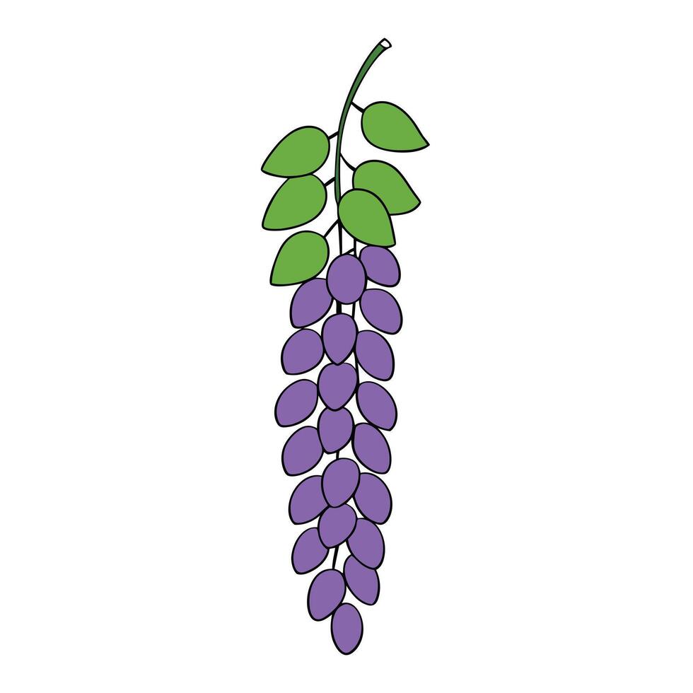 Unique Wisteria Art Inspiration Online vector