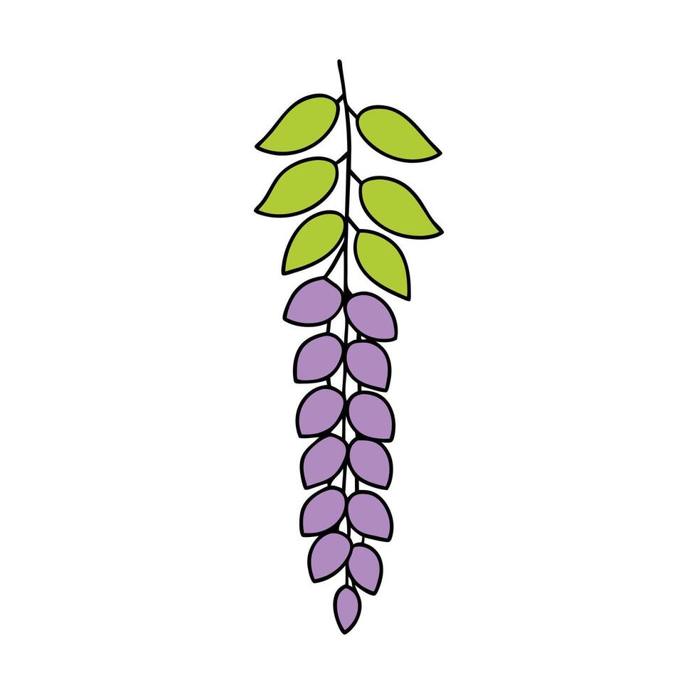 Stunning Wisteria Floral Art Ideas vector