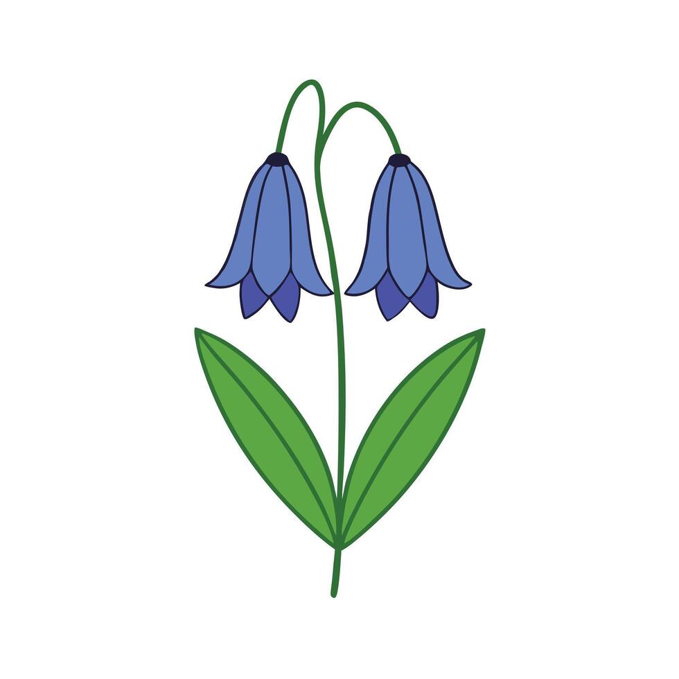 Elegant Bluebell Designs for Art vector