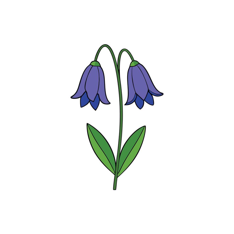 Stunning Bluebell Designs for Projects vector