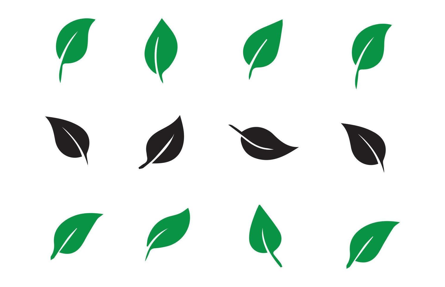 Green Leaf icon Birch leaf. Leaf icon set vector