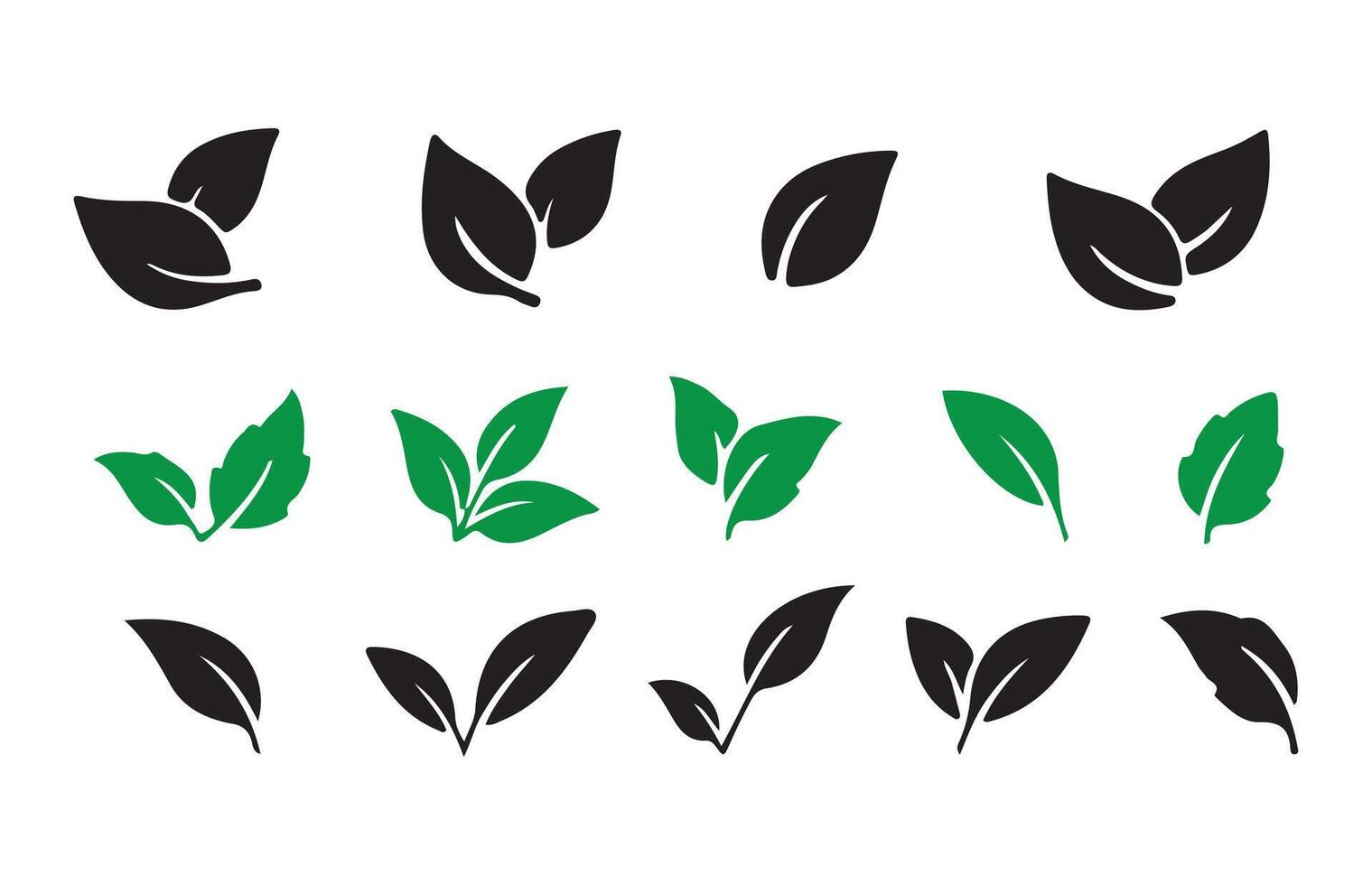 Plants Leaf Shapes Collection illustration eps 10 vector