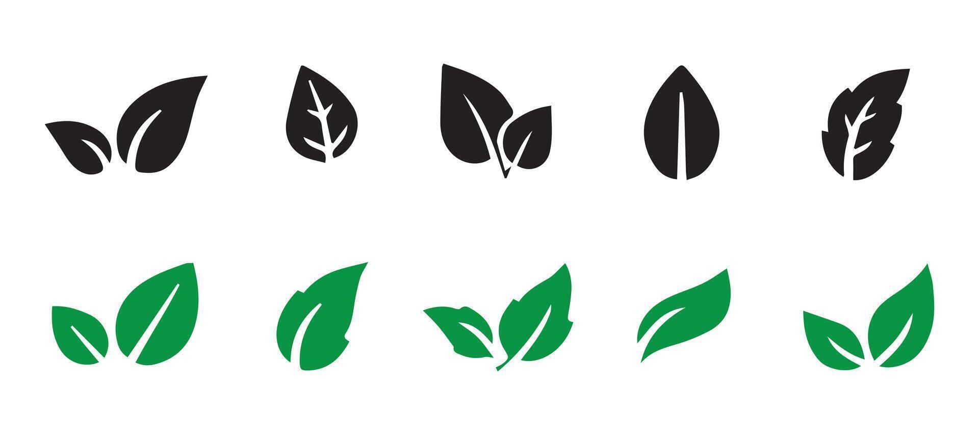 Leaf icon set. Set of decorative dividers elements vector