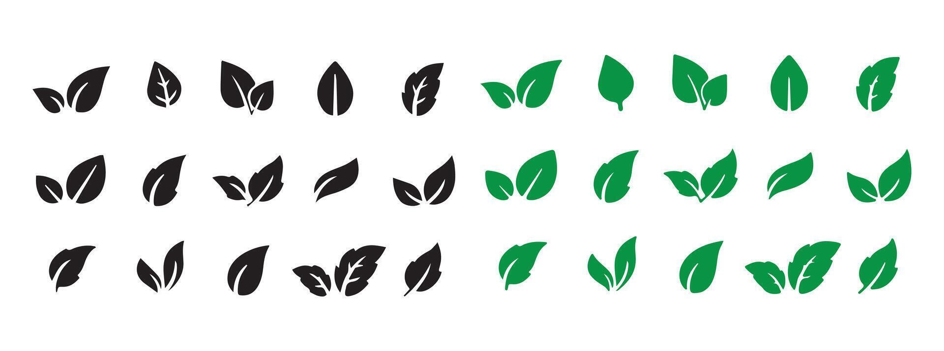Leaf Shapes Collection. Leaf icon set vector