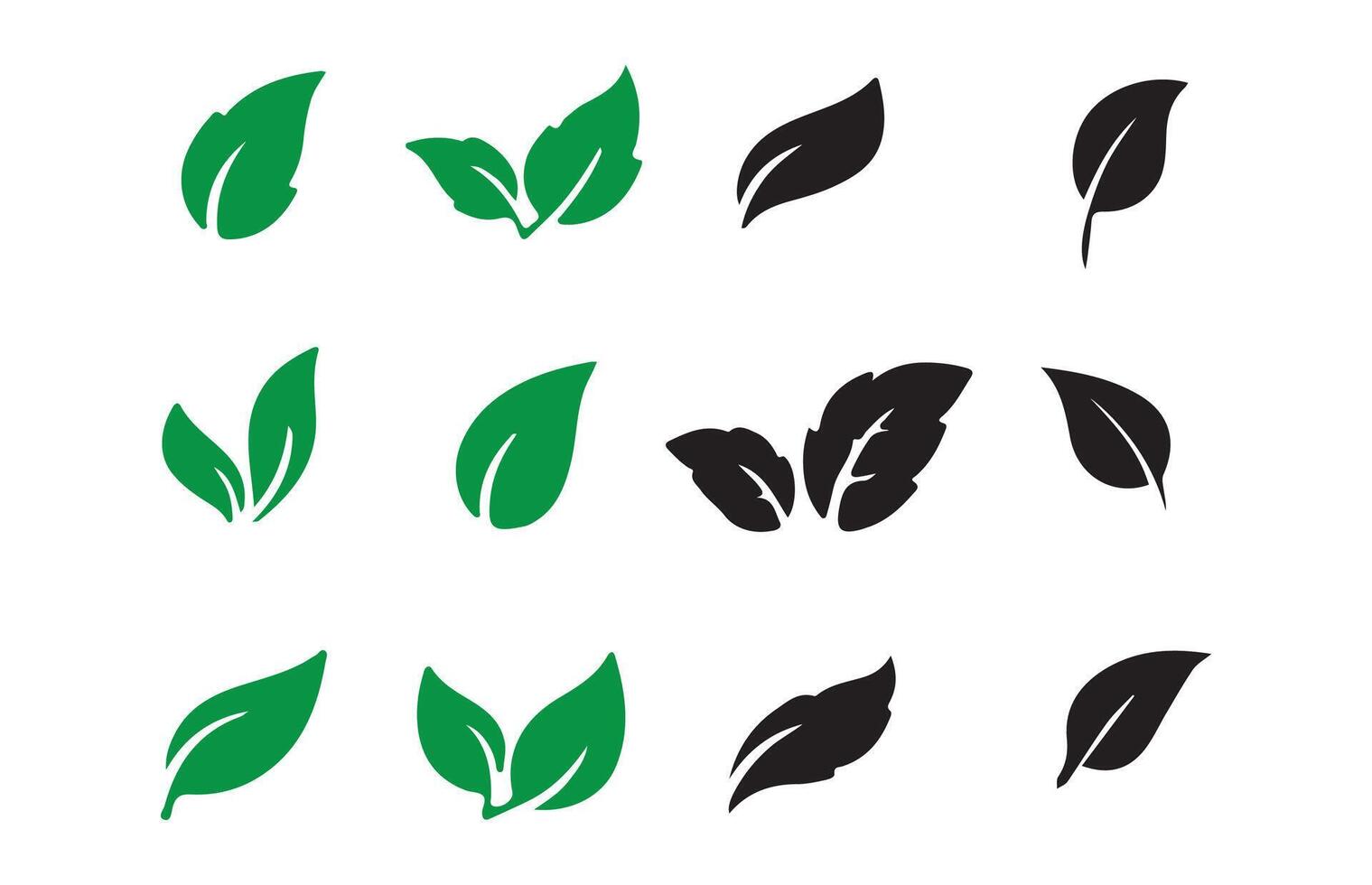 Green plant, exotic nature set isolated on white background illustration eps 10 vector