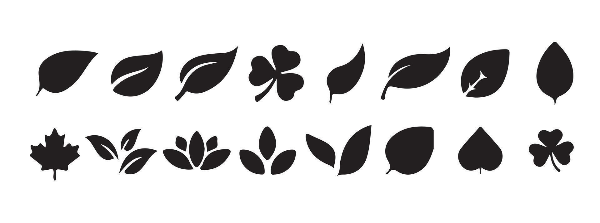 Set of black leaf icons. Leaves on a white background. Ecology. File illustration eps 10 vector