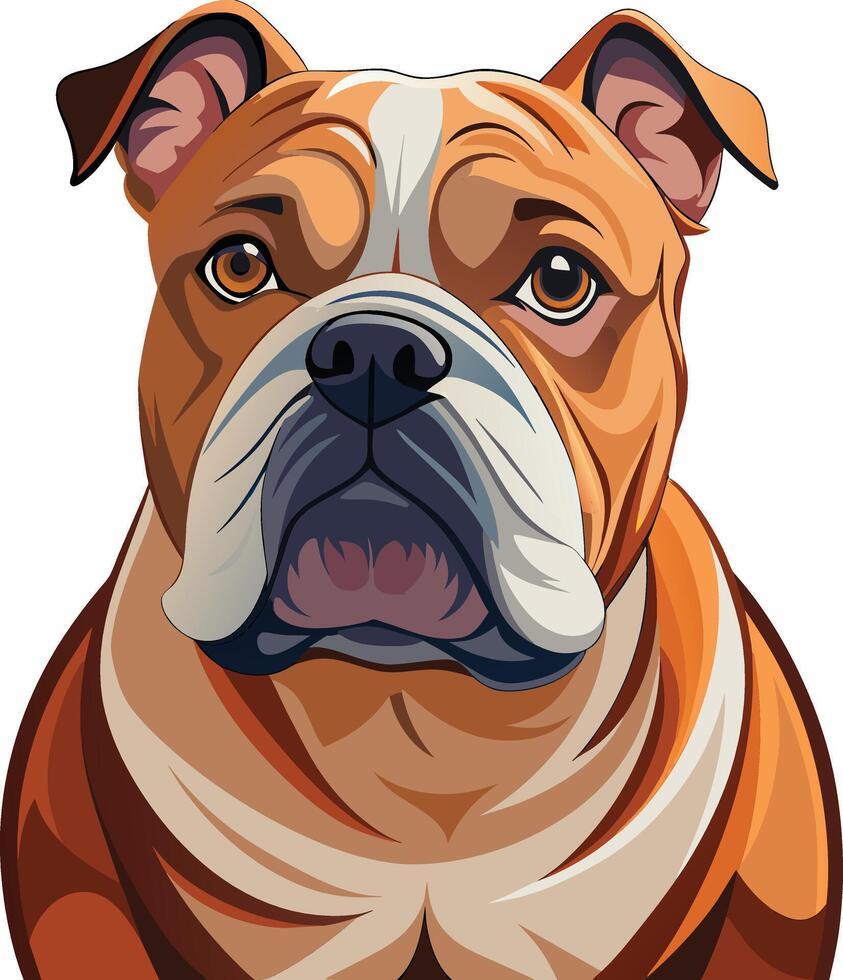 Magnificent English Bulldog Portrait Graphic vector