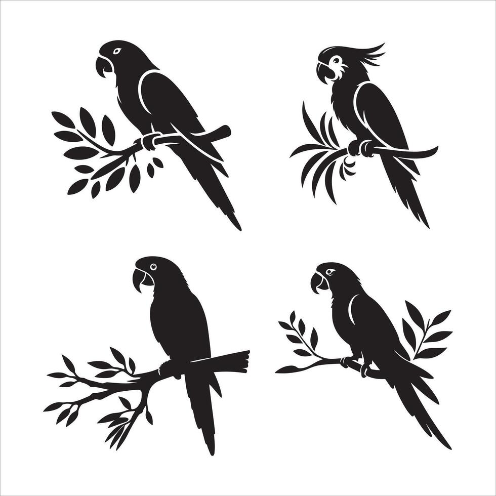 Parrots on Branches Silhouettes vector