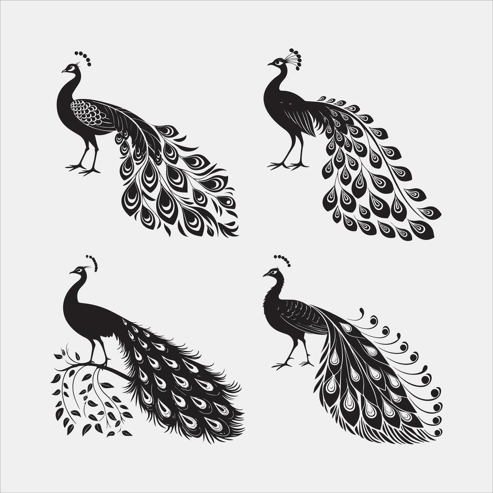 Peacock with Open Tail Silhouette vector