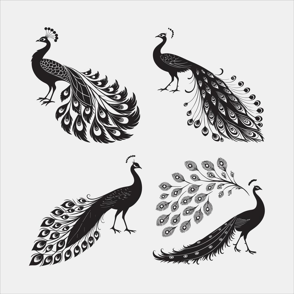 Simple Peacock with Spread Tail Illustration vector