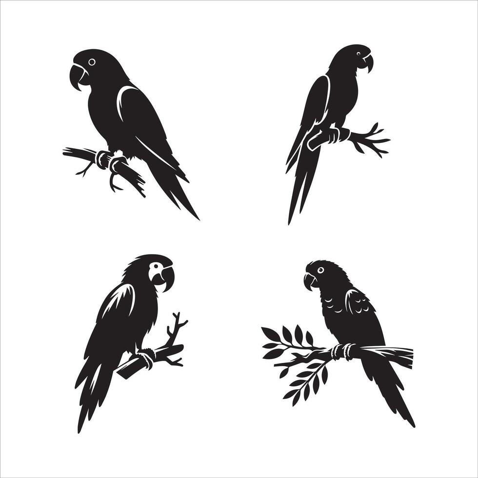 Elegant Parrots on Branches vector