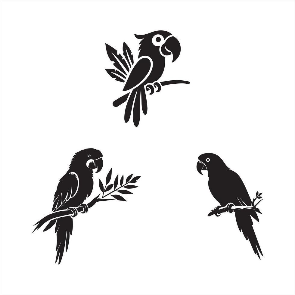 Bold Parrots on Branches Illustrations vector