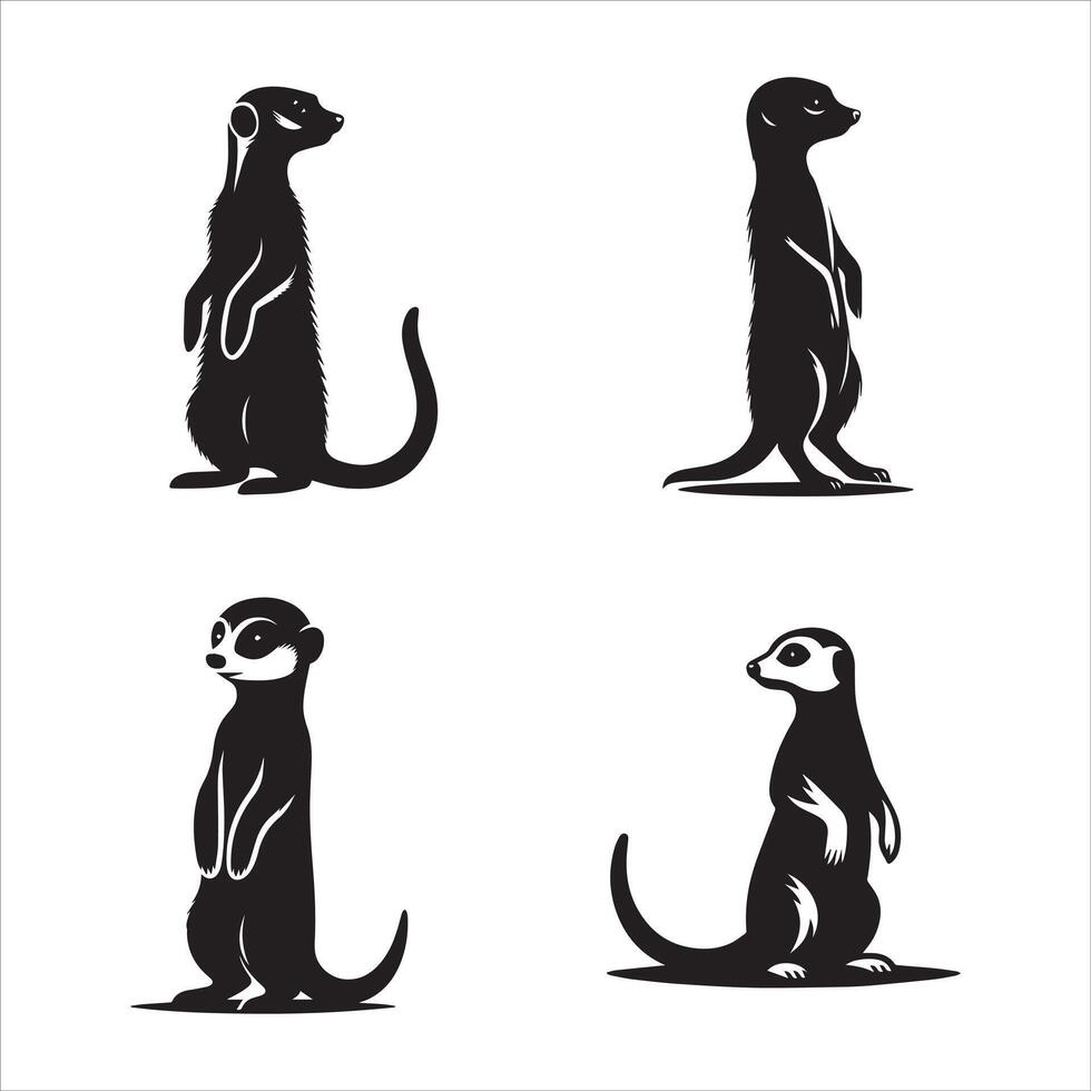 Simple Meerkat Illustration vector