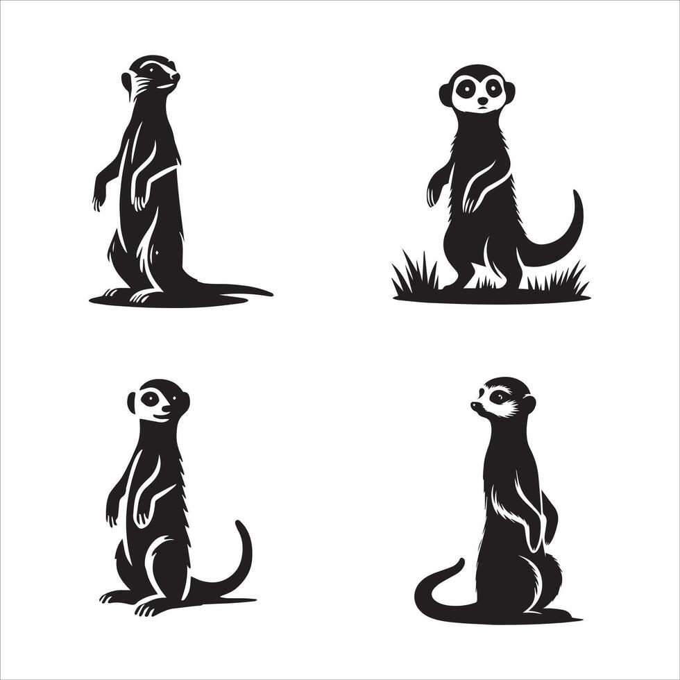Standing Meerkat Silhouette vector