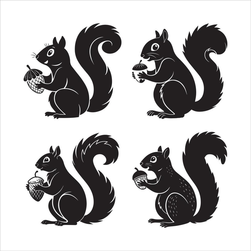 Bold Squirrel with Nut Design vector