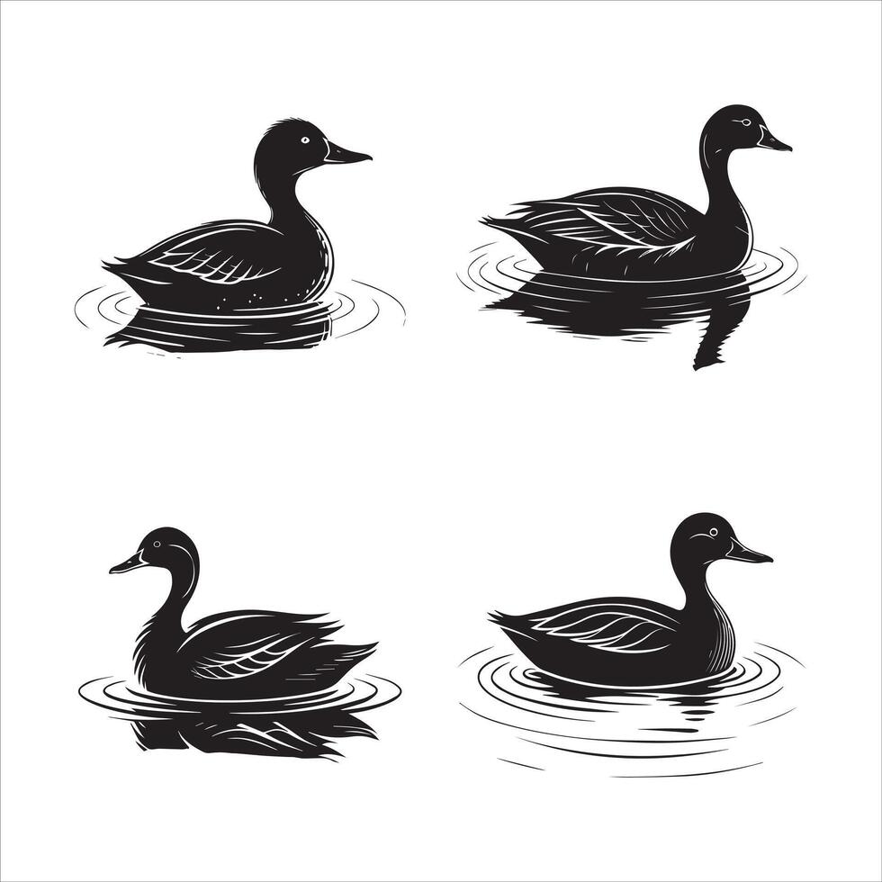 Clean Duck in Water Illustration vector