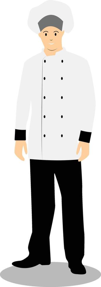 Male Chef Illustration vector