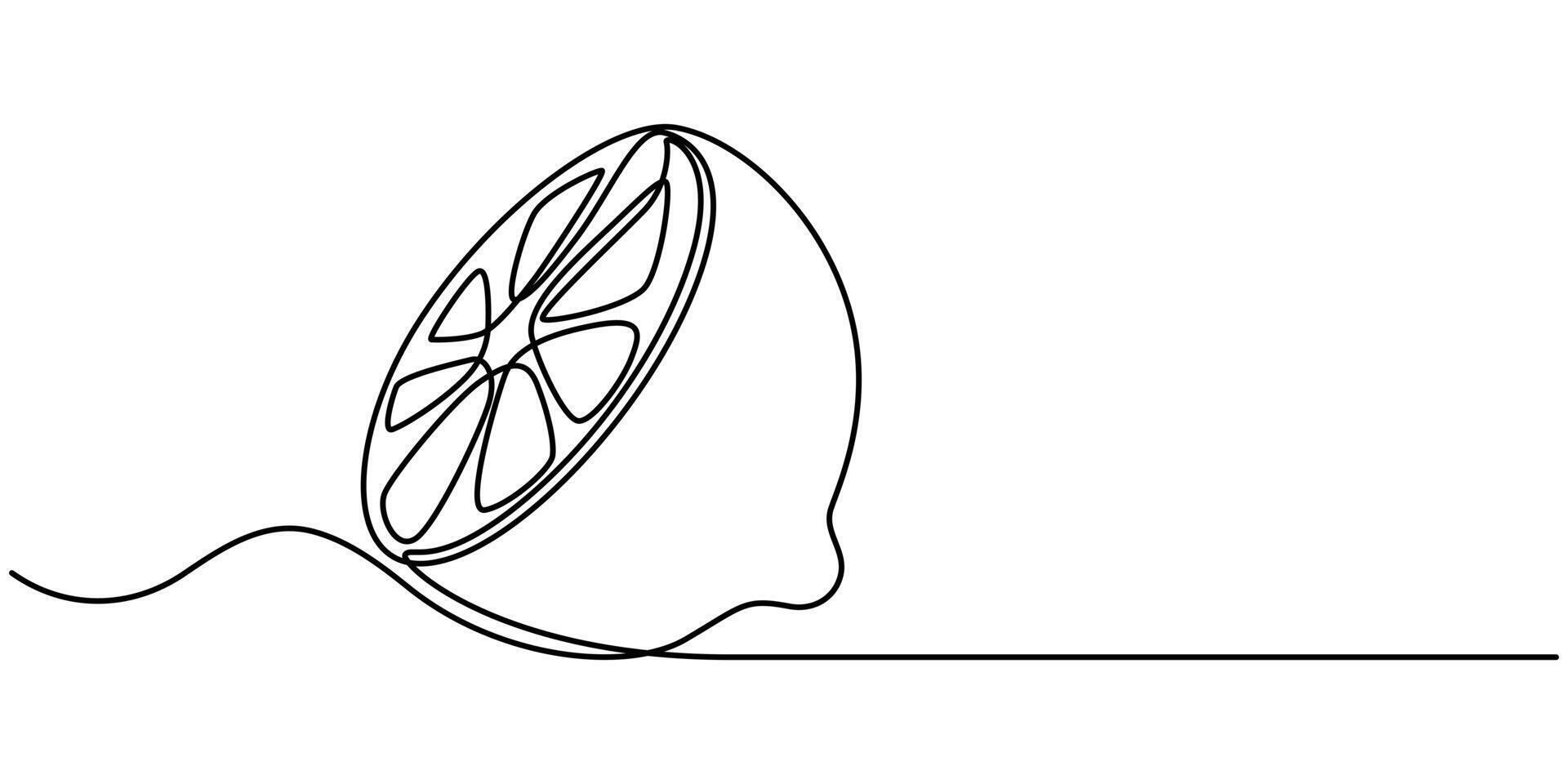 slice of orange fruit hand drawn single continuous one line art pro illustration vector