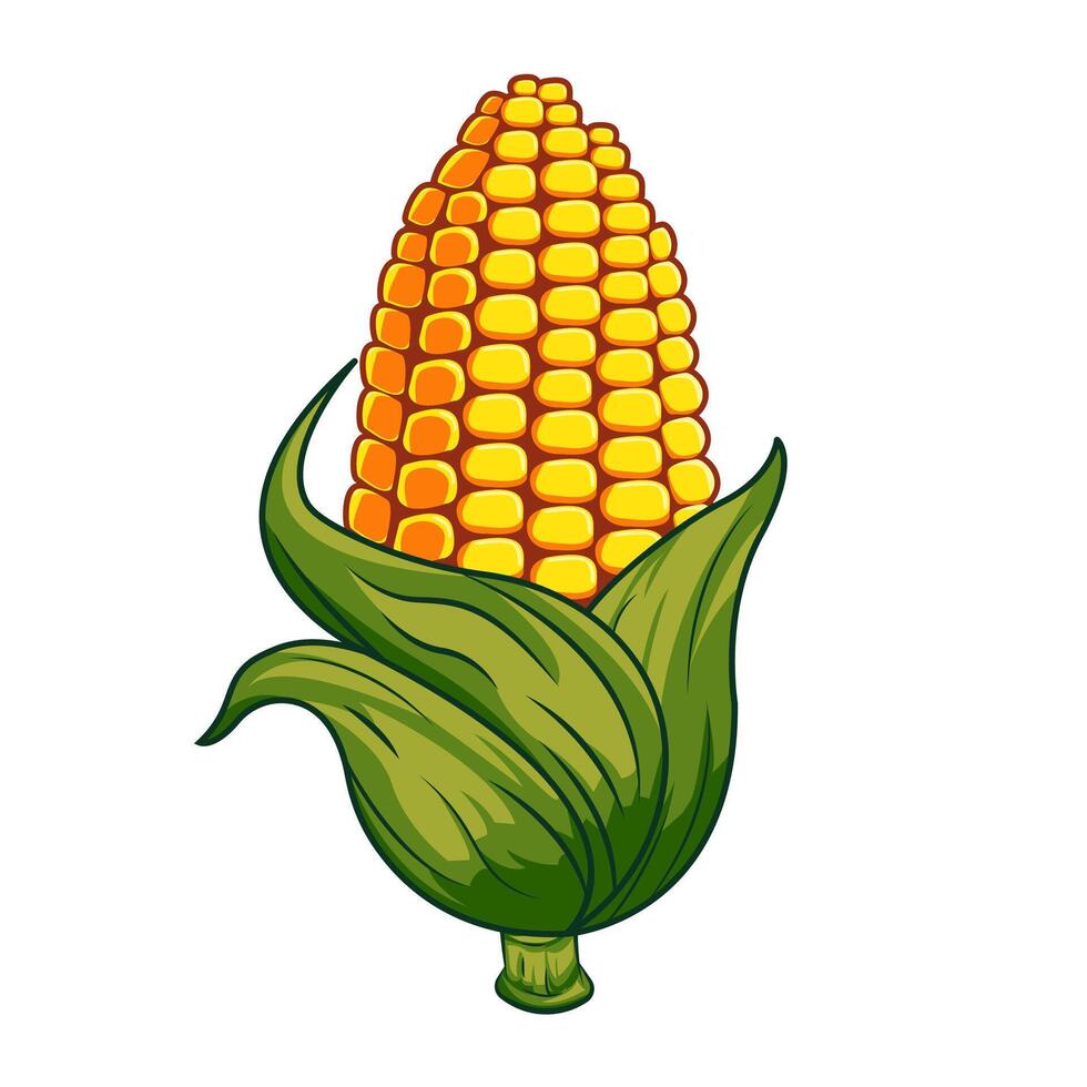 corn illustration cartoon art style object template design vector