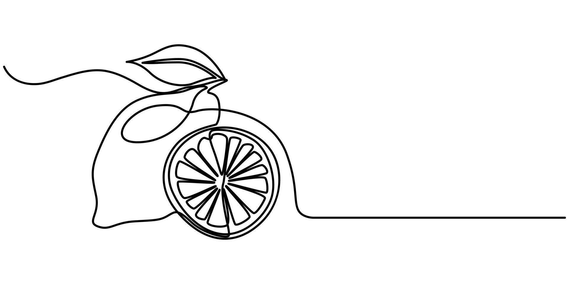 Continuous one line drawing of Orange Fruit vector