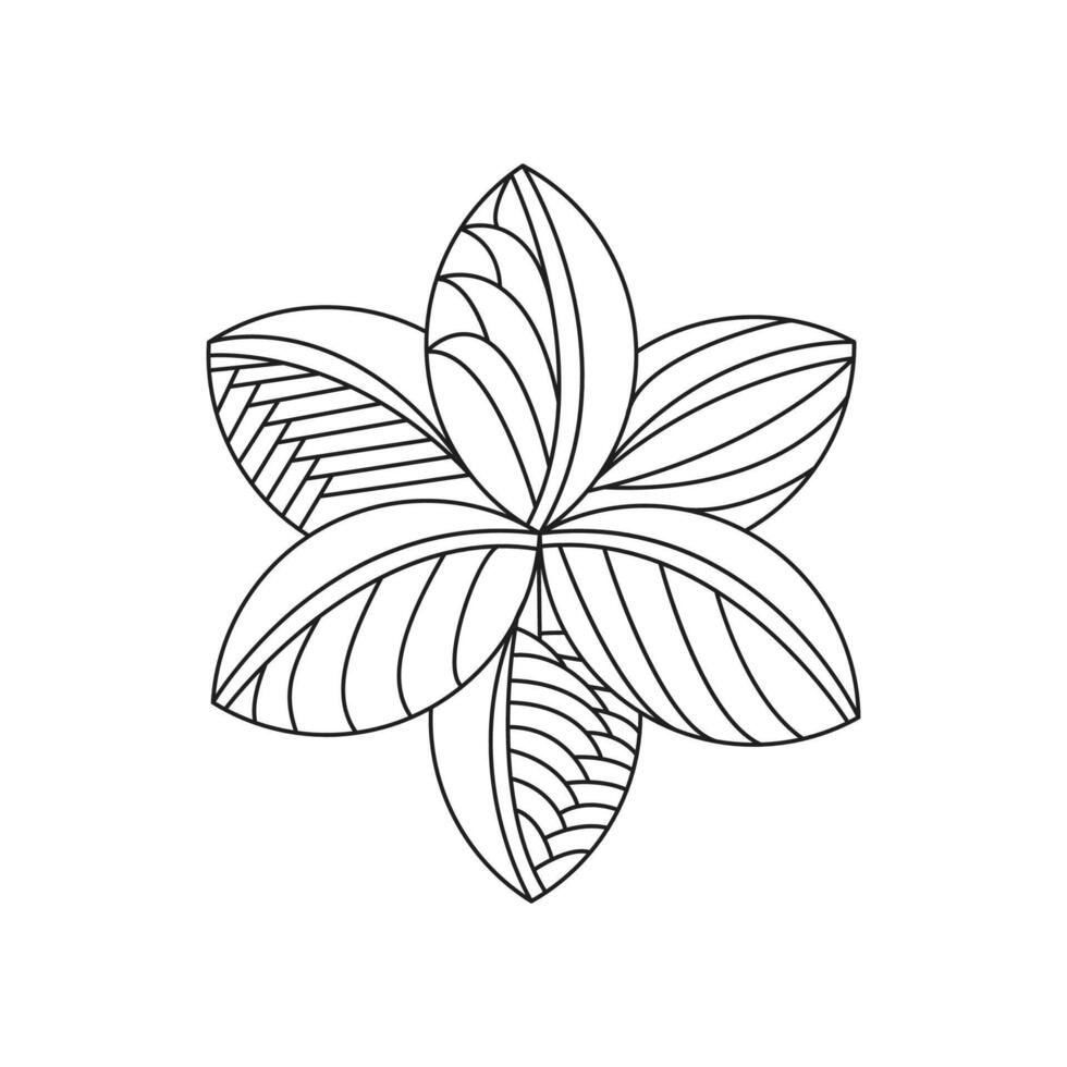 Decorative mandala with floral patterns and leaves on a white isolated vector