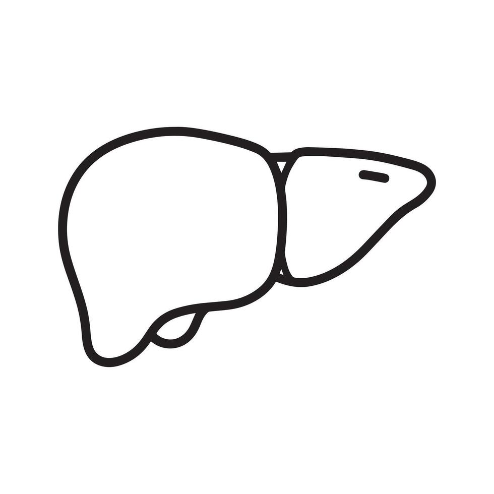 liver line art , represent liver cancer vector