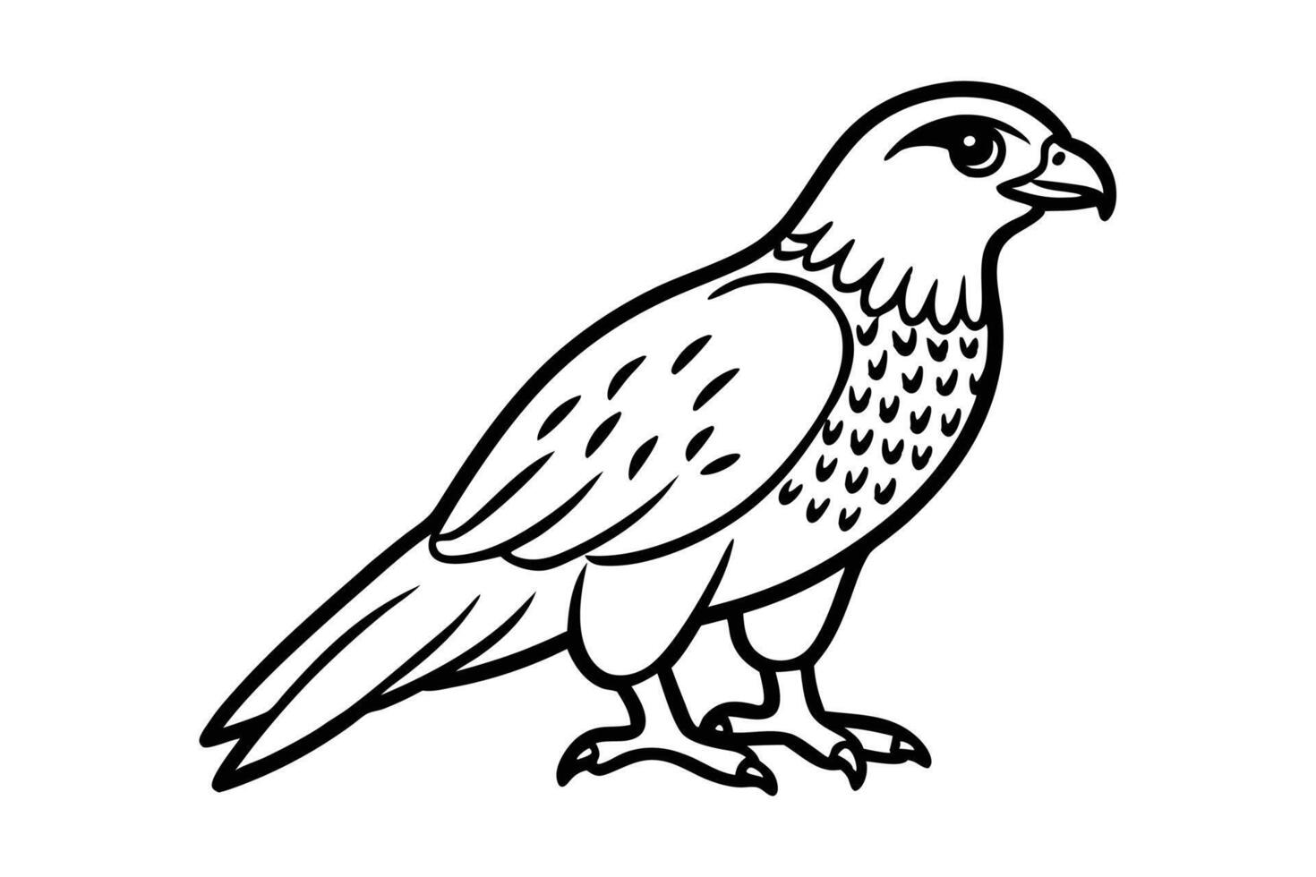 A cute Hawk hand drawing clean line art illustration vector