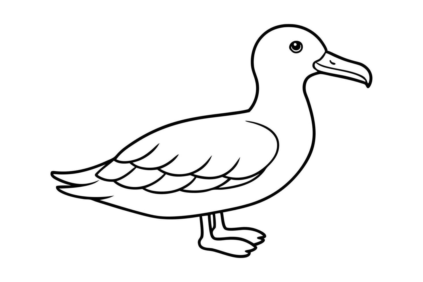 A cute Albatross hand drawing clean line art illustration vector