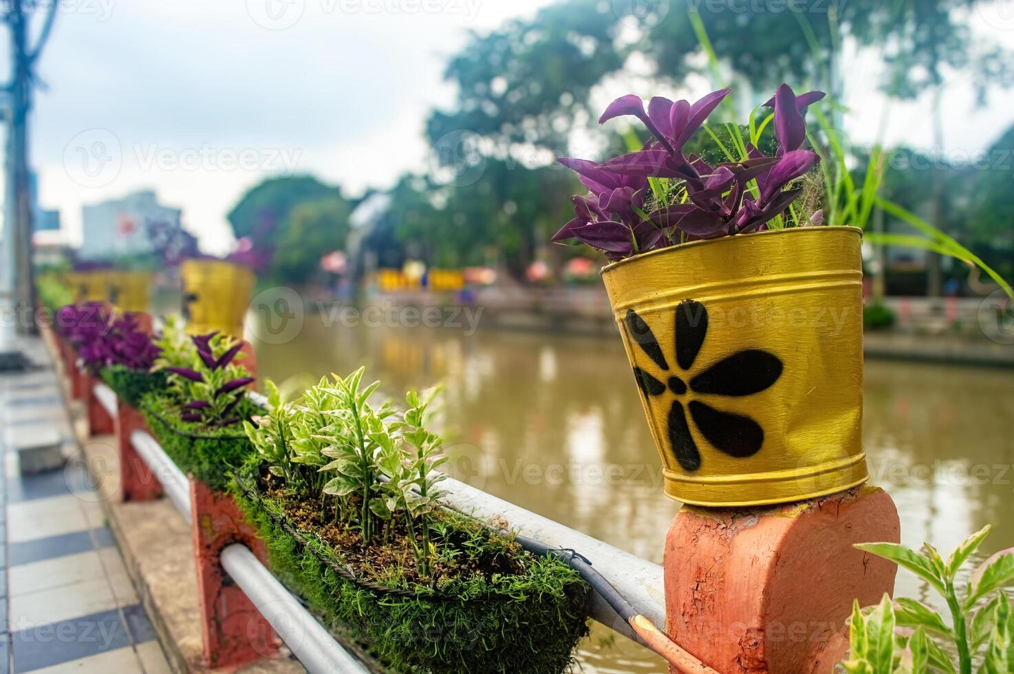 Colorful potted plants line a riverside walkway, adding vibrant greenery and charm to the urban landscape. The yellow pots with black flower designs stand out beautifully photo