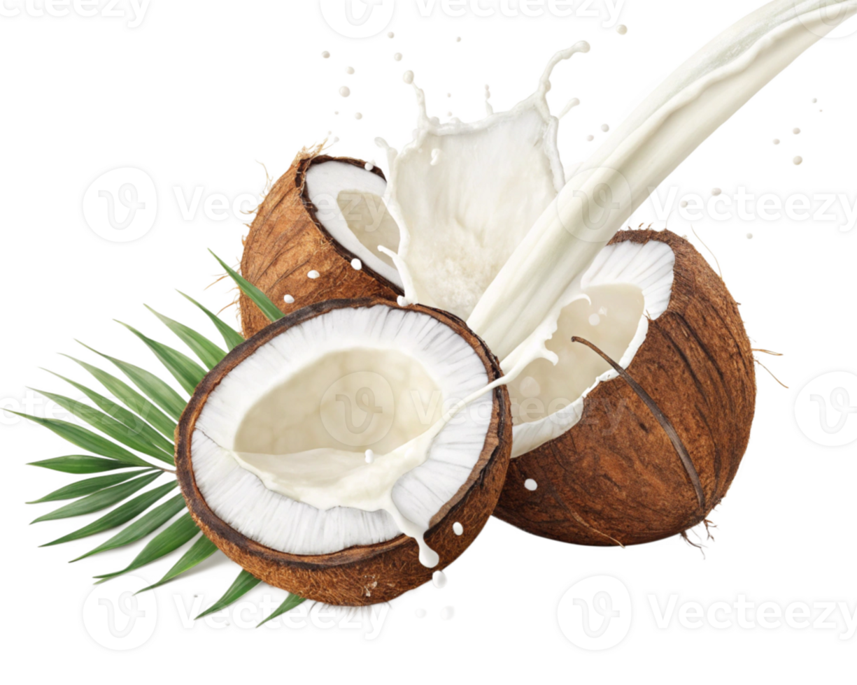 Refreshing Coconut Milk Splash Tropical Drink, Creamy Texture, Sweet Taste png