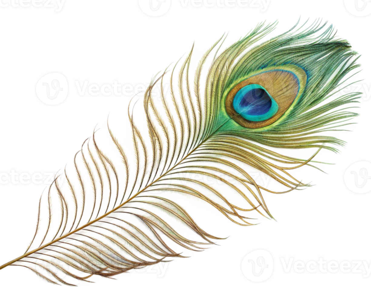 Glitched Peacock Feather Digital Art, Colorful, Avian, Eye png