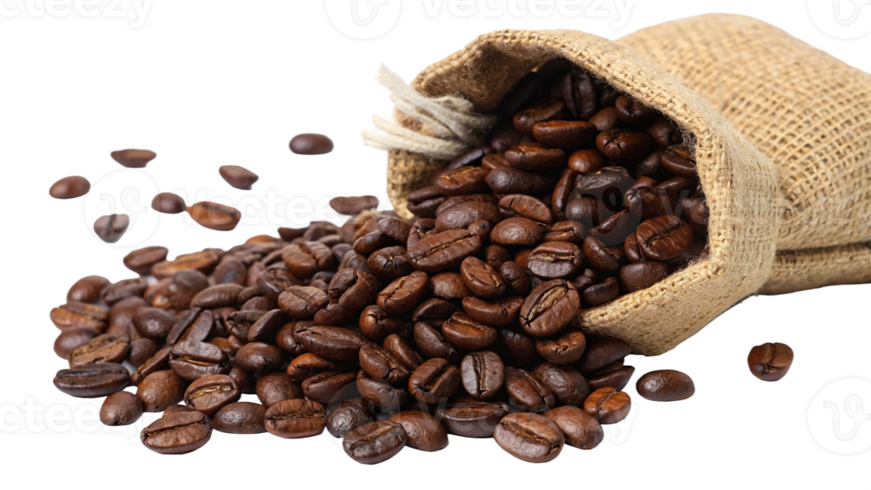 Coffee Beans Spilling from Burlap Sack png