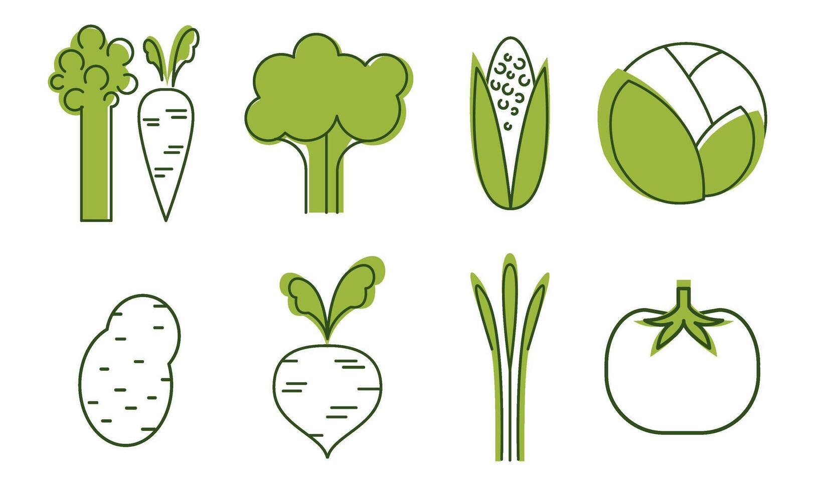 Fresh Vegetables Icons Set, Cabbage, Beet, Tomato, Broccoli, Asparagus, Carrot, Corncob, Organic Healthy Food Signs Illustration vector