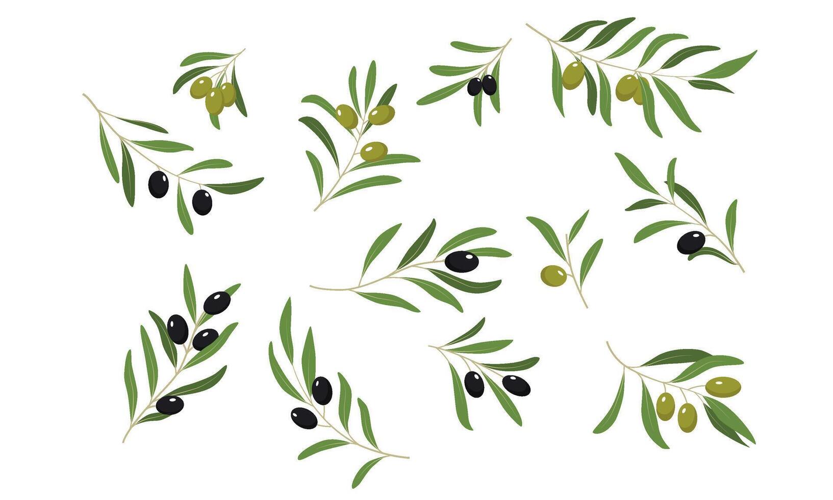 Olive Tree Branches Set, Eco Healthy Organic Products or Cosmetics Design Element Illustration vector